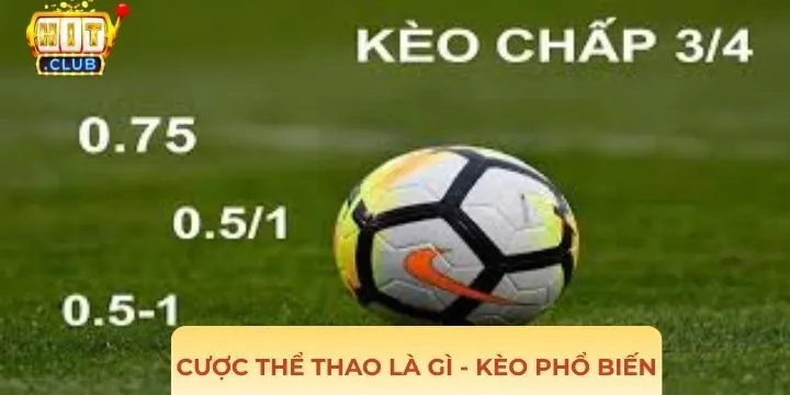 Khám phá một số hình thức kèo cược thể thao là gì?