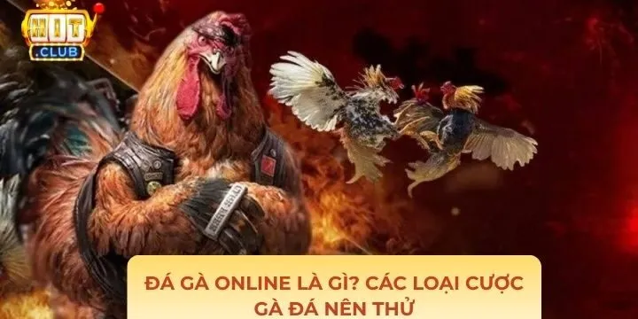 Tổng hợp các loại cược gà đá online là gì?