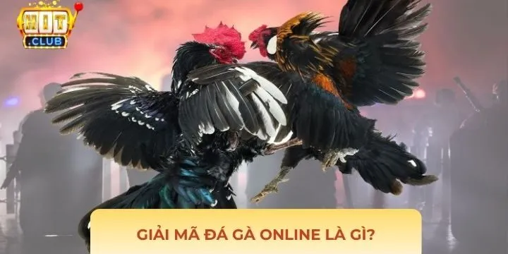 Định nghĩa chuẩn về đá gà online là gì