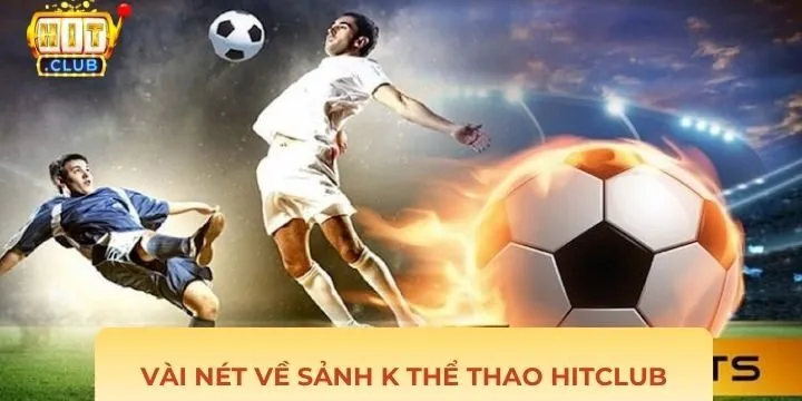Tìm hiểu thông tin về trang cược k thể thao Hitclub