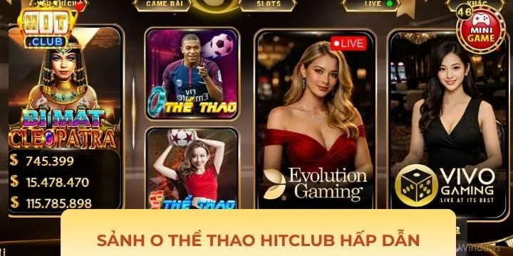 Các thông tin cơ bản về sảnh o thể thao Hitclub