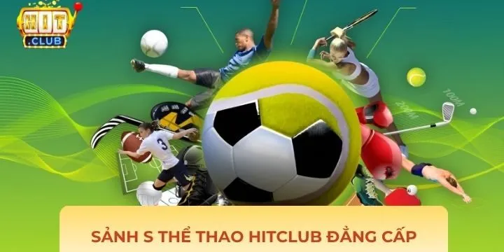 Các thông số cơ bản về trang s thể thao Hitclub